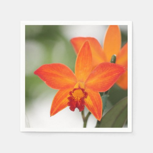 Tropical Orange Orchid Paper Napkin