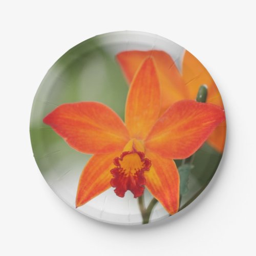 Tropical Orange Orchid Paper Plate