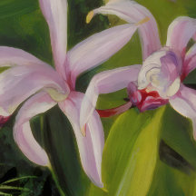 Tropical Orchid Botanical Art
