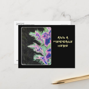 'Tropical Orchid' Painting on a Postcard