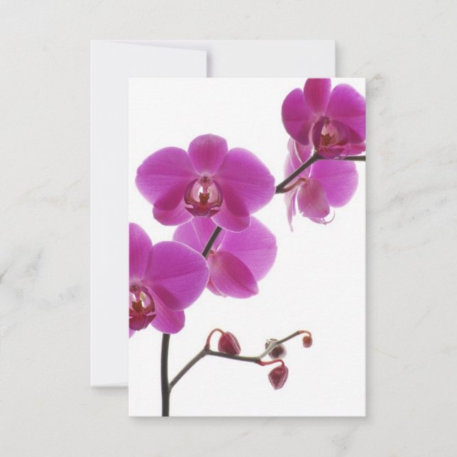 Tropical Orchid Wedding Invitation Response Card (Front)