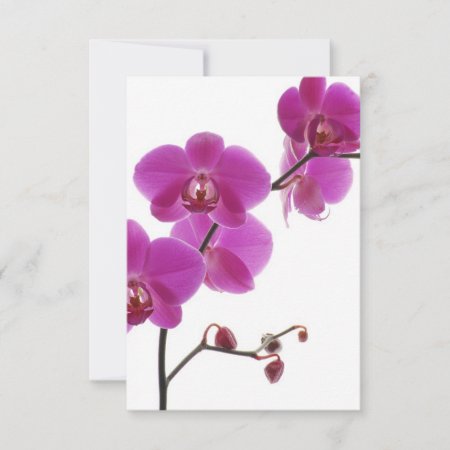 Tropical Orchid Wedding Invitation Response Card