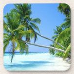 Tropical Palm Beach! Coaster<br><div class="desc"></div>