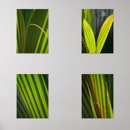 Tropical Palm Fronds Botanical Photography Wall Art Sets