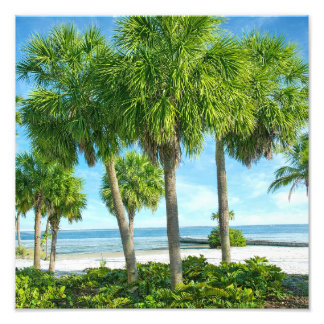 Tropical Palm Garden Wall Art Coastal Decor
