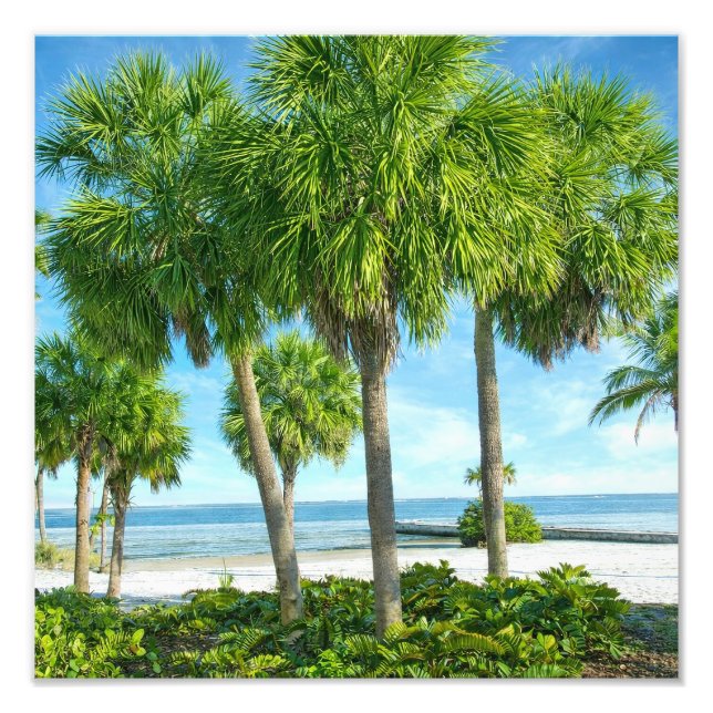 Tropical Palm Garden Wall Art Coastal Decor (Front)