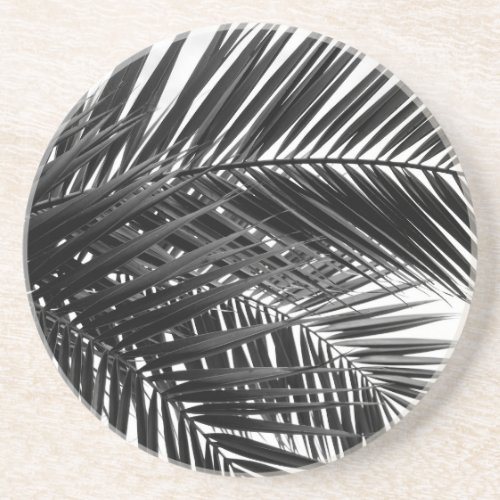 Tropical Palm Leaves _ Black and White Photography Coaster
