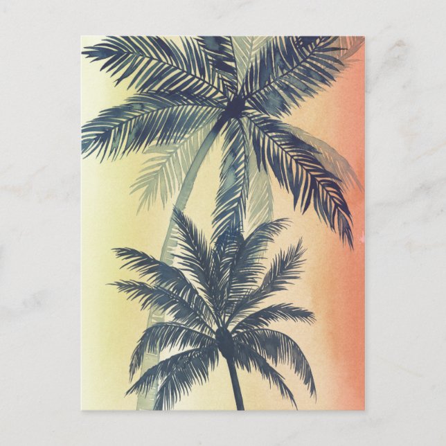 Tropical Palm Leaves Postcard (Front)