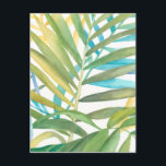 Tropical Palm Leaves Postcard<br><div class="desc">Tropical Palm Leaves. Artist: Megan Meagher. Image ID: 149600FN.</div>