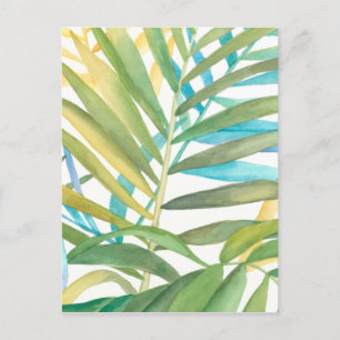 Tropical Palm Leaves Postcard