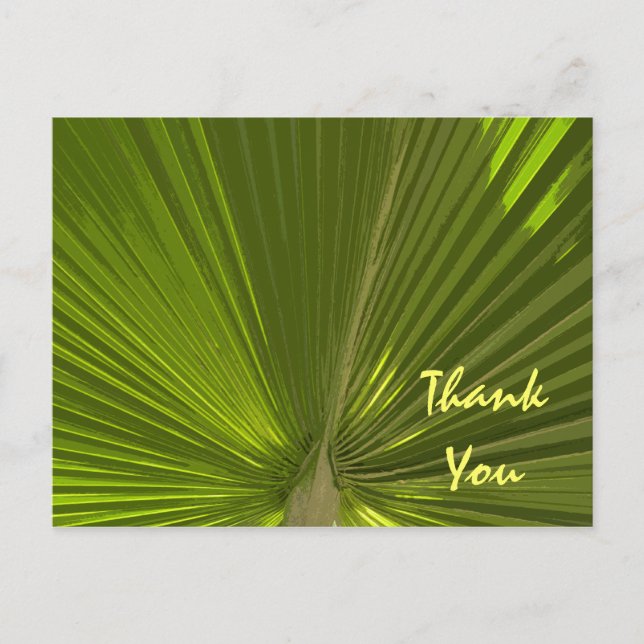 Tropical Palm Thank You Postcard (Front)