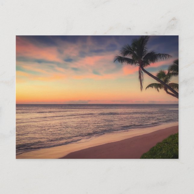 Tropical Palm Tree Beach at Sunset Post Card (Front)