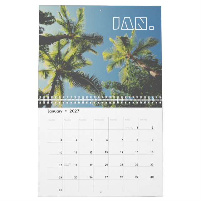Tropical Palm Tree Blue Sky Retro Summer Vibe Calendar (Jan 2027)