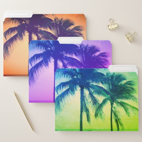 Tropical palm tree coastal ocean photo image file folder