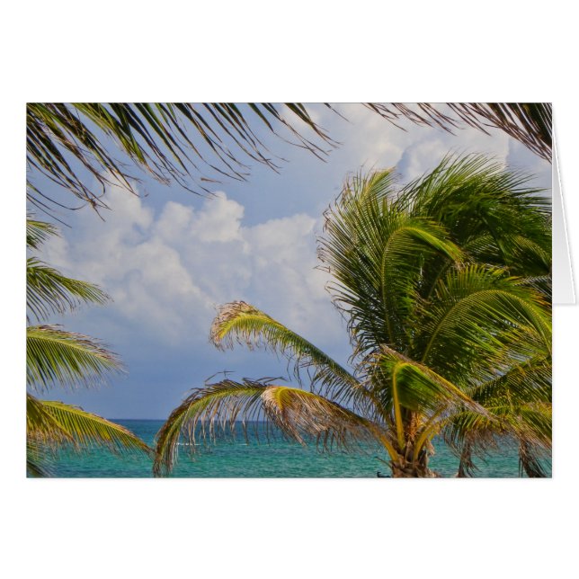 Tropical Palm Tree Framed Cards (Front Horizontal)