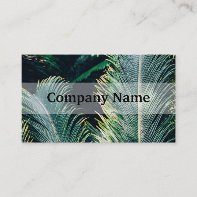 Tropical Palm Tree Leaves, Exotic Photograph Business Card (Front)