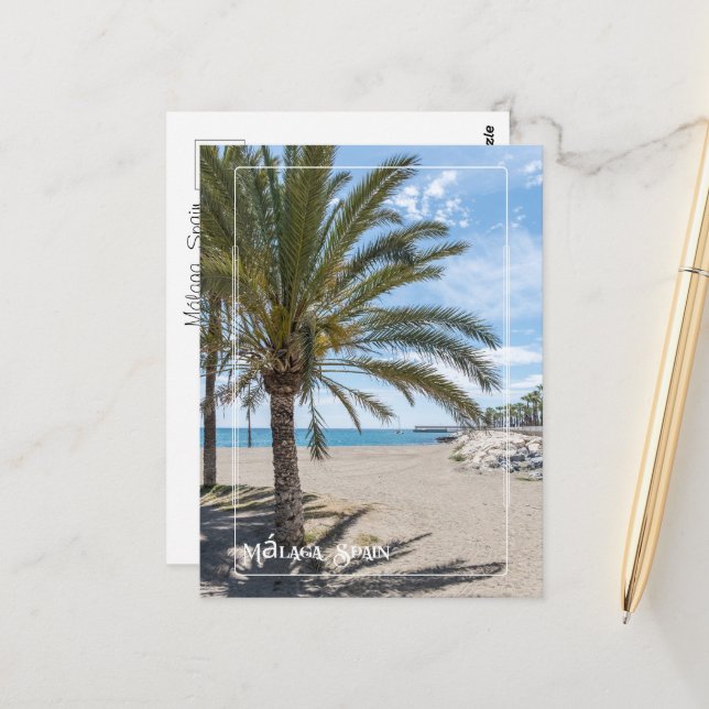 Tropical Palm Tree on Málaga Beach Postcard (Front/Back In Situ)