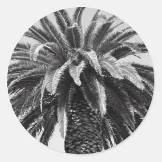 Tropical Palm Tree Sticker