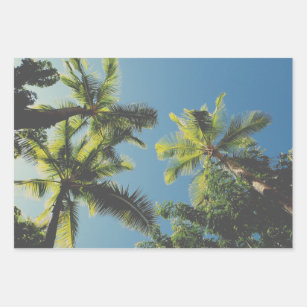 Tropical Palm Tree Summer Vibe Green Blue Sky Wrapping Paper Sheets