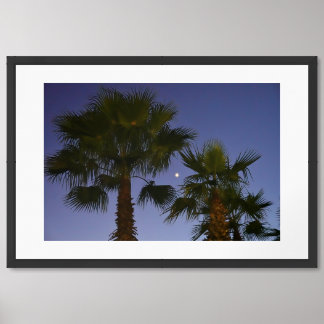 Tropical Palm Tree Wall Art Twilight Coastal