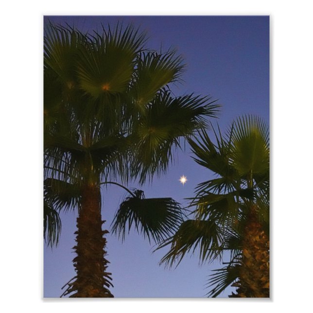 Tropical Palm Tree Wall Art Twilight Coastal (Front)