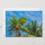 Tropical