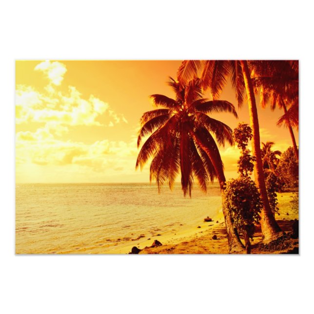 Tropical palm trees at a beach at sunset photo print (Front)
