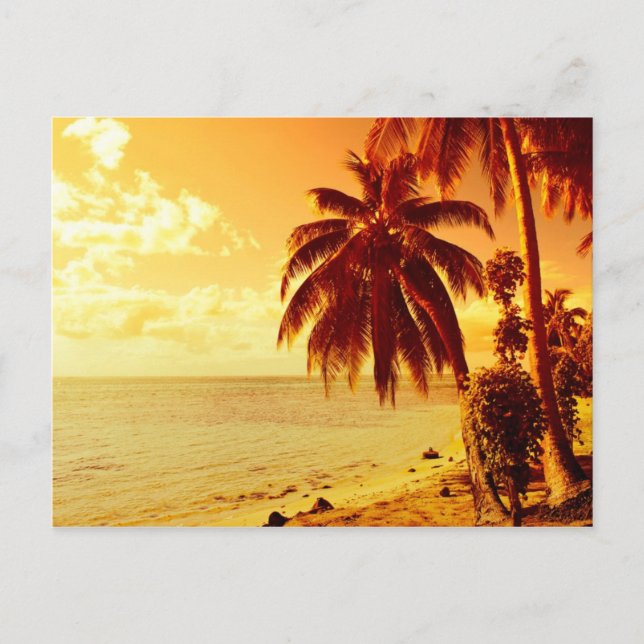 Tropical palm trees at a beach at sunset postcard (Front)
