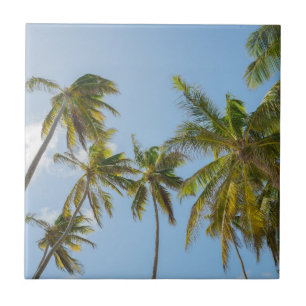 Tropical Palm Trees, Beach and vacation Style Ceramic Tile