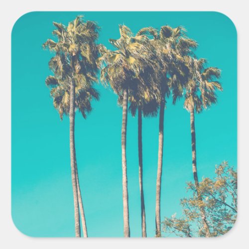 Tropical Palm Trees California Retro Square Sticker