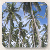 Tropical Palm Trees Coaster