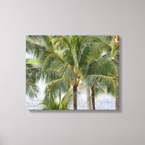 Tropical Palm Trees in Hawaii Canvas Print