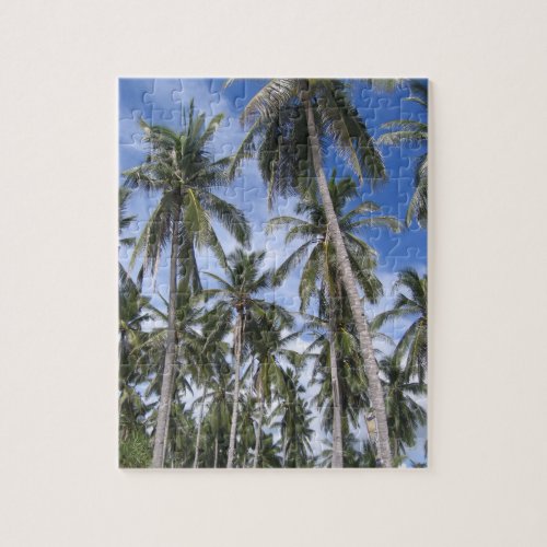 Tropical Palm Trees Photo in Greens and Blues Jigsaw Puzzle