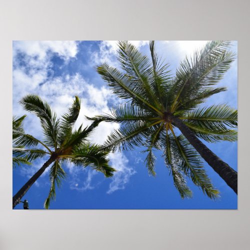 Tropical Palm Trees Photo Poster