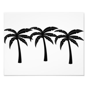 Tropical Palm Trees Photo Print