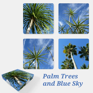 Tropical Palm Trees Photographic Botanical Coaster Set