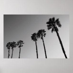 Tropical Palm Trees Poster,Print Poster