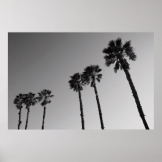 Tropical Palm Trees Poster,Print Poster