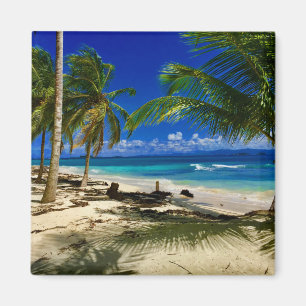 Tropical Palms San Blas Panama Sandy Beach Island Magnet