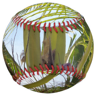 Tropical Palms Softball