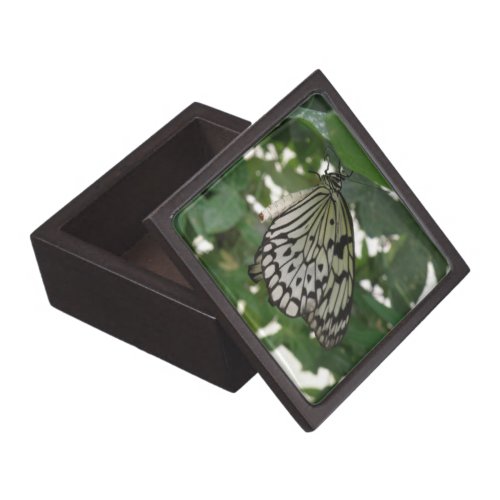 Tropical Paper Kite Butterfly Gift Box