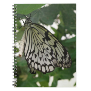 Tropical Paper Kite Butterfly Notebook