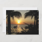 Tropical Paradise (Front)