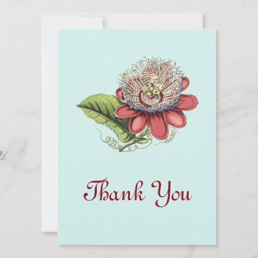 Tropical Paradise (Back)