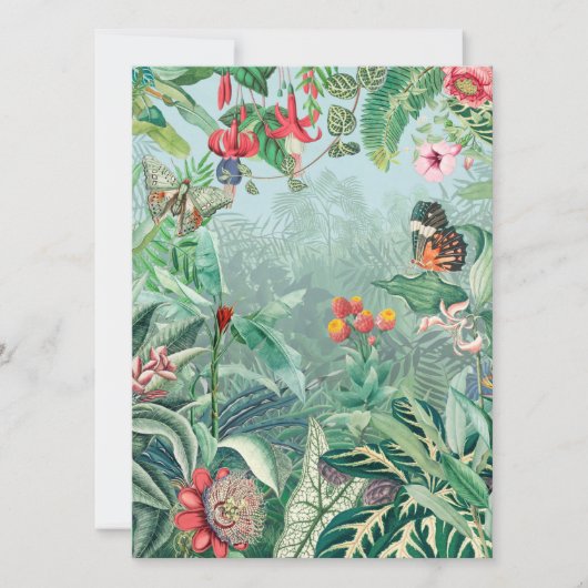 Tropical Paradise (Front)