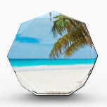 Tropical Paradise Beach Award<br><div class="desc">Do you need a tropical vacation? With this amazing photo you'll fly to your favorite beach in seconds.</div>