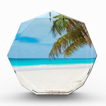 Tropical Paradise Beach Award by Argos_Photography at Zazzle