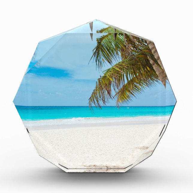 Tropical Paradise Beach Award (Front)