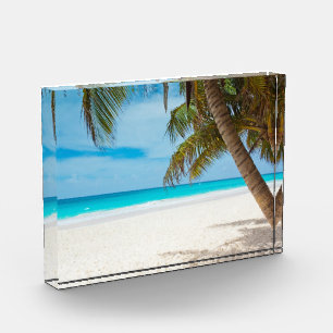 Tropical Paradise Beach Award