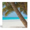 Tropical Paradise Beach